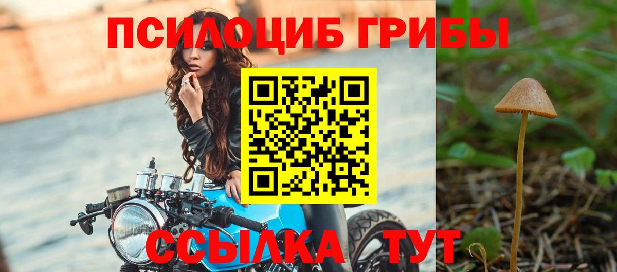 Саянск  Псилоцибиновые грибы ЛСД  Вход с VPN 